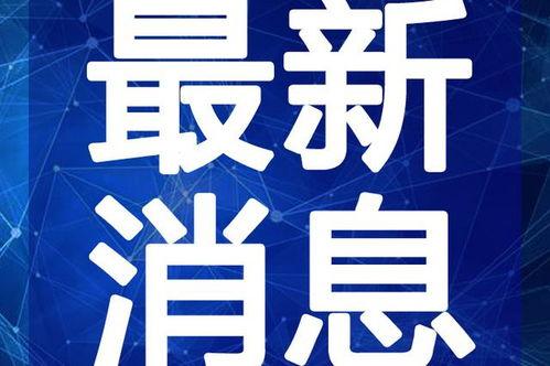 大白游戏爆料视频大全最新,揭秘热门游戏幕后故事与精彩瞬间